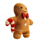 Ginger Fred