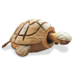 Coconut Nodding Turtle