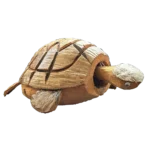 Coconut Nodding Turtle – view 2