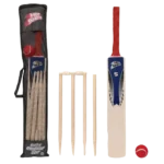 Cricket set (size 5)