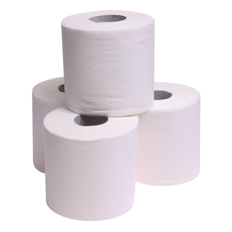 Quick Dissolve Toilet Tissue 1 x 4 pack