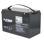 Platinum VRLA PAGM100-12 Battery