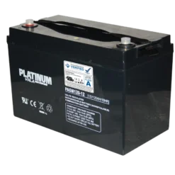 Platinum VRLA PAGM120-12 Battery