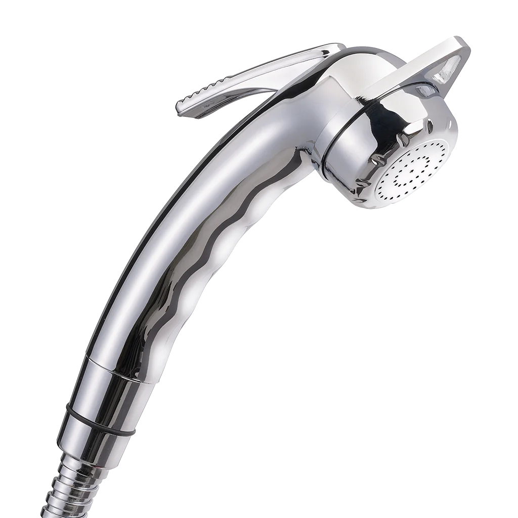 Reich Charisma Adjustable Chrome Shower Head with Lever