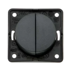 W4 Berker Twin Rocker Switch – Anthracite