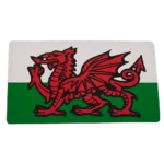 W4 Rectangle Welsh Dragon Sticker