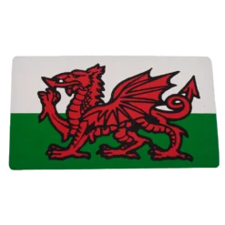 W4 Rectangle Welsh Dragon Sticker
